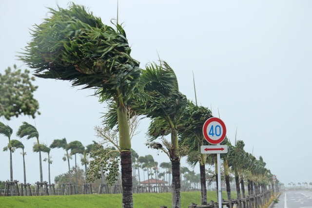 沖縄で発生した台風による強風、木々が揺れ、海が荒れる様子