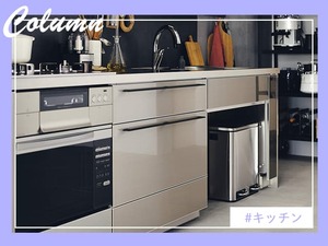 "清潔感あふれるステンレスキッチンの魅力を伝える画像