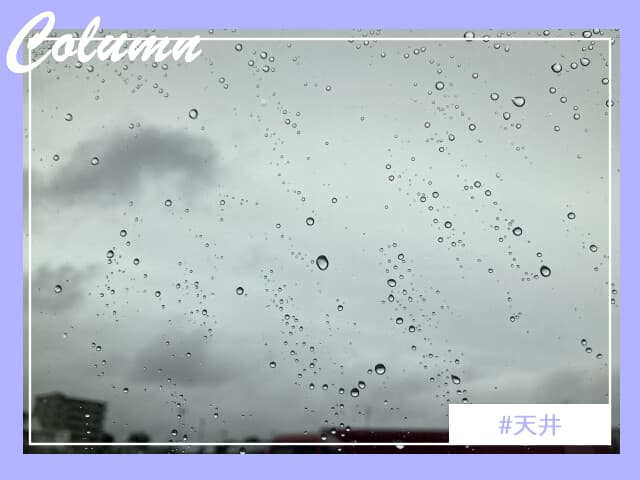 雨が降る中、しっとりとした雰囲気に包まれた外観。雨天時の住宅の耐久性や雨漏り対策の重要性を考えるきっかけにもなる雨降りの様子を表現