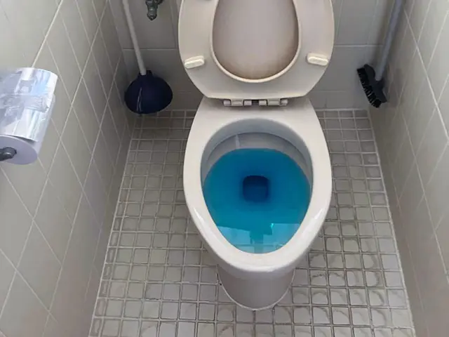 トイレ取替え工事のビフォーアフター Before写真